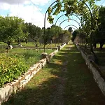 Pestanaca Villa *