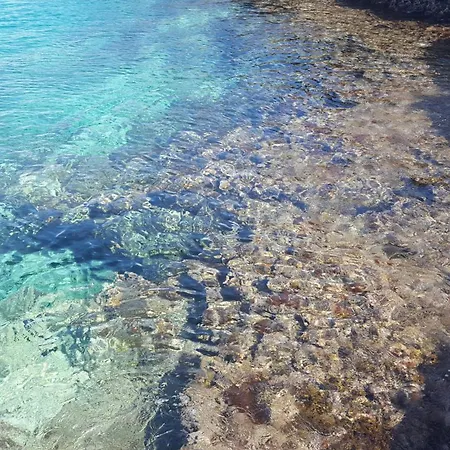 Pestanaca